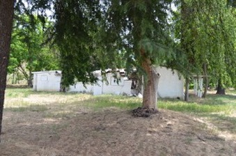 Enlarge photo 151