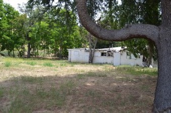 Enlarge photo 153