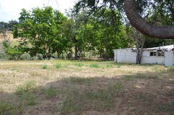 Enlarge photo 154