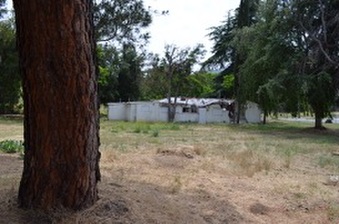 Enlarge photo 155