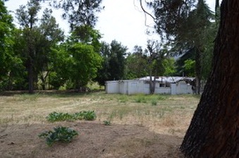 Enlarge photo 156