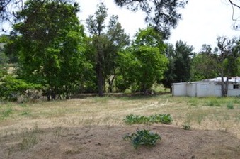 Enlarge photo 158