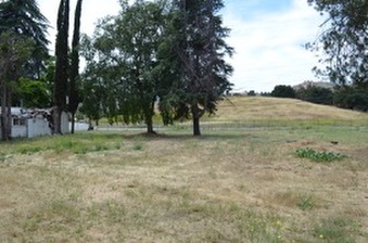 Enlarge photo 163