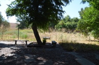 Enlarge photo 22
