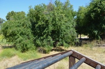 Enlarge photo 29