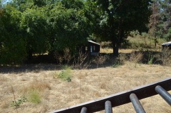 Enlarge photo 35