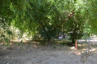 Enlarge photo 36