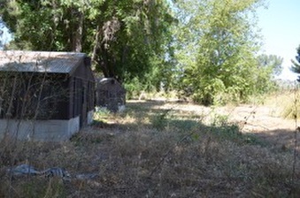 Enlarge photo 46