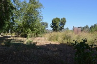 Enlarge photo 47