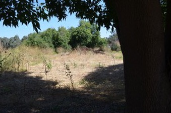 Enlarge photo 48