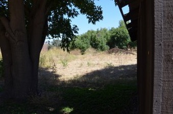 Enlarge photo 49