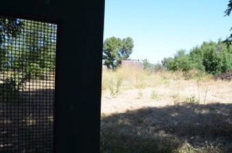 Enlarge photo 51