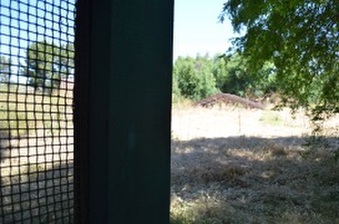Enlarge photo 52
