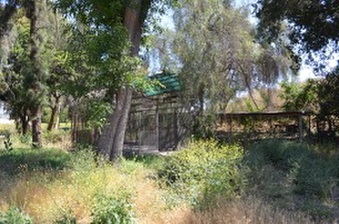 Enlarge photo 54