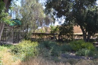 Enlarge photo 55