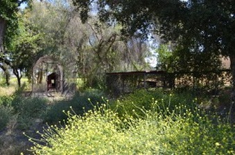 Enlarge photo 56