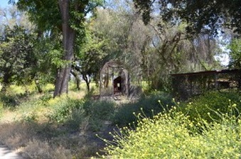 Enlarge photo 57
