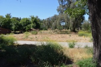 Enlarge photo 59