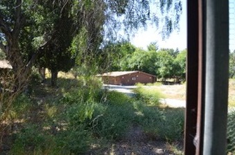 Enlarge photo 61