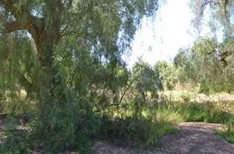 Enlarge photo 64