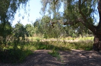 Enlarge photo 65
