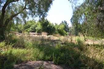 Enlarge photo 66