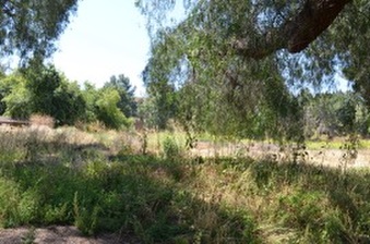 Enlarge photo 67