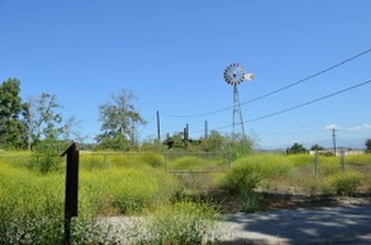 Enlarge photo 72