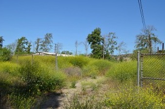 Enlarge photo 74