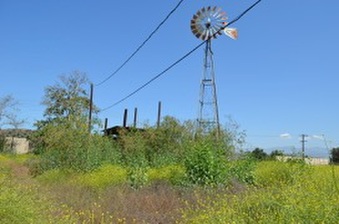 Enlarge photo 75