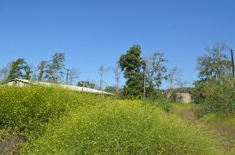 Enlarge photo 76
