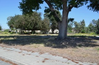 Enlarge photo 78