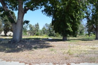 Enlarge photo 79