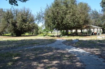 Enlarge photo 82