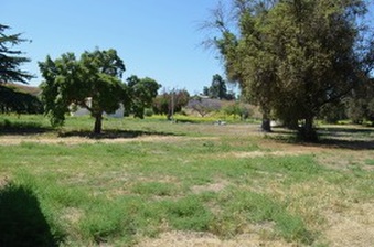 Enlarge photo 95