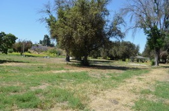 Enlarge photo 96