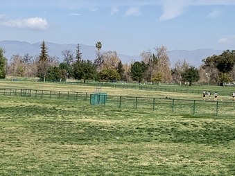 Balboa Sports Complex - field