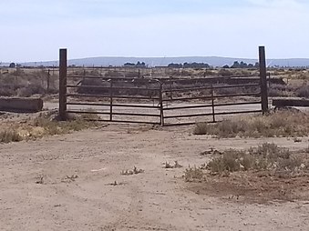 Enlarge photo 6