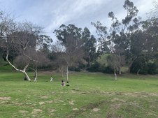 Elysian Park