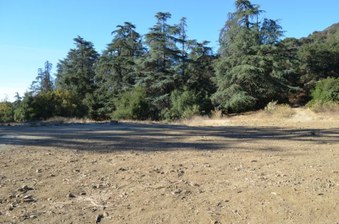 Enlarge photo 28