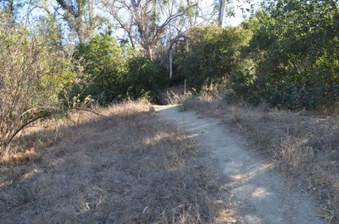 Enlarge photo 35