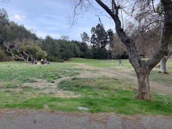 Enlarge photo 36