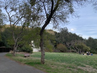 Enlarge photo 37