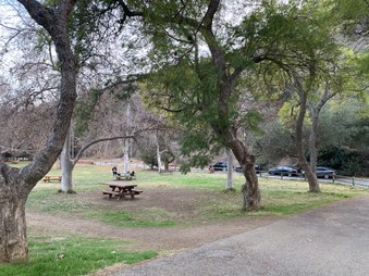 Enlarge photo 38