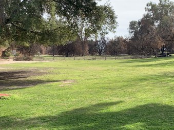 Enlarge photo 27