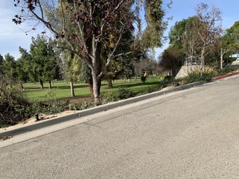 Enlarge photo 45