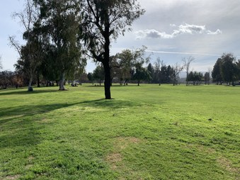 Enlarge photo 36