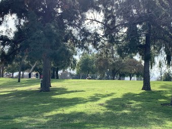 Enlarge photo 32