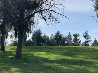 Enlarge photo 30