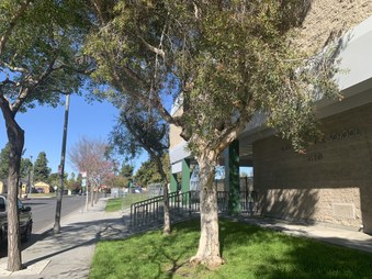 Enlarge photo 16